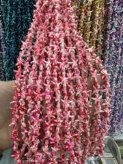 Deniz Yıldızı Çift Renkli Dizide 35 Adet