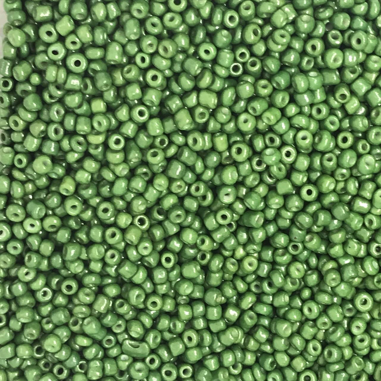 Orta Boy Kum 50gr 750 Adet Haki